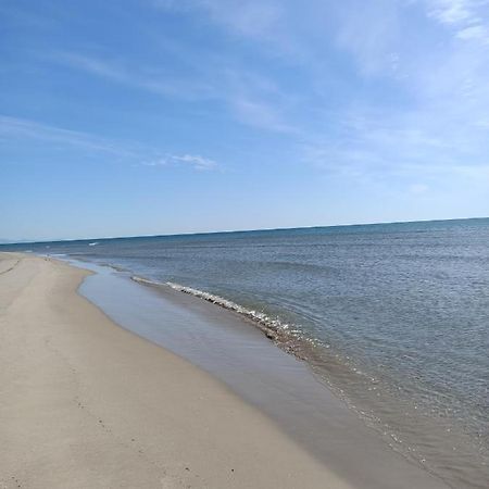 Sagunto 100 Metros De La Playa 아파트 외부 사진