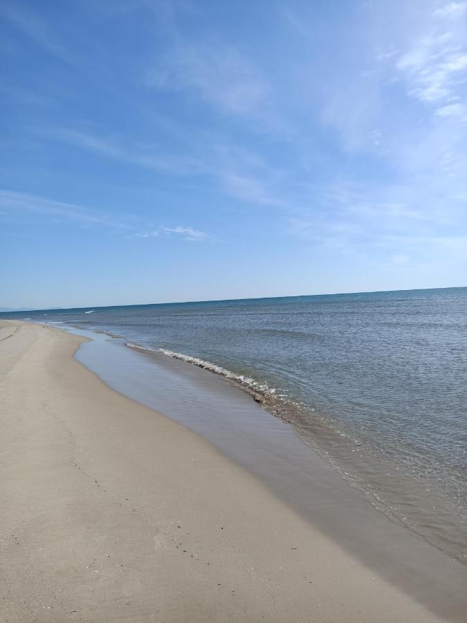 Sagunto 100 Metros De La Playa 아파트 외부 사진